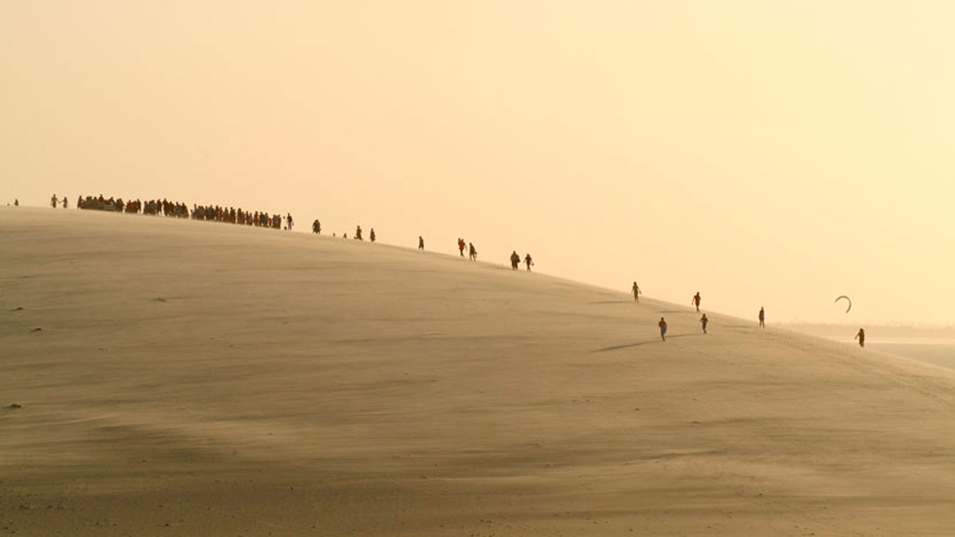 Dune in Jericoacoara
